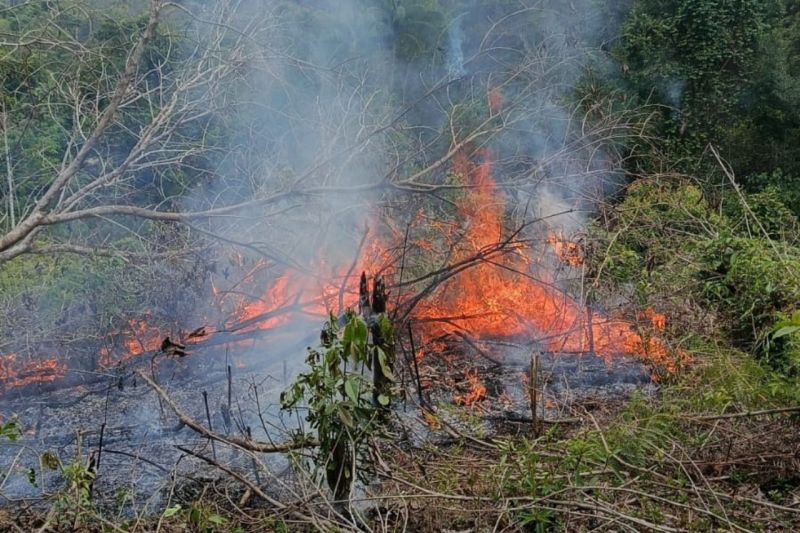 Pemadaman Karhutla Dimasifkan Biar Asep Tidak Lintas Negara, Jepang Kirim Kapal dan 3 Helikopter 