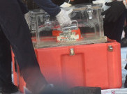 Selain Black Box, Tim SAR Berhasil Kumpulkan 24 Kantong Jenazah