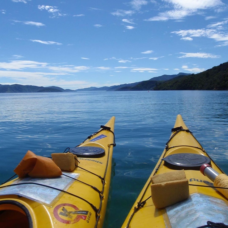 Marlborough Sounds, Selandia Baru. (Foto: instagram.com/seamlessescapes)