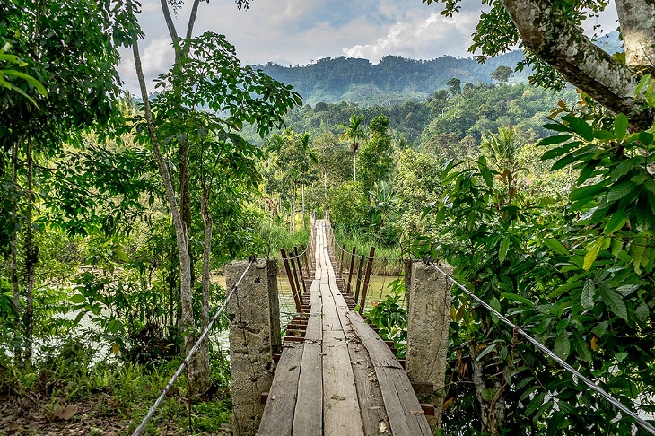 taman nasional bukit barisan selatan