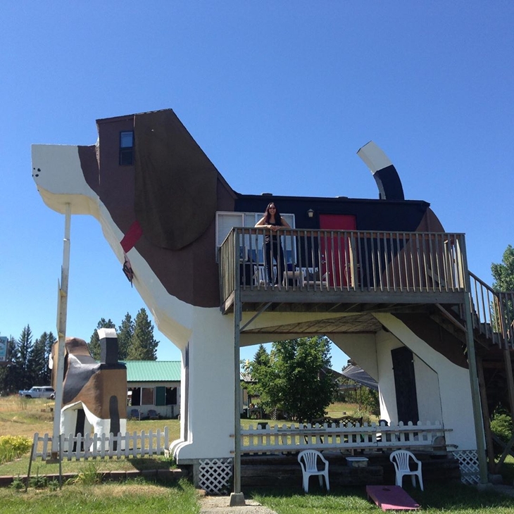  Dog Bark Park Inn. (Foto: instagram.com/soozling)