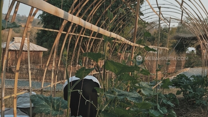 Bukit Bambu Bisa Jadi Tempat Wisata Alternatif di Cirebon