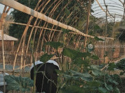 Bukit Bambu Bisa Jadi Tempat Wisata Alternatif di Cirebon