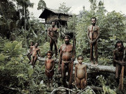 Menengok Kebiasaan Suku Korowai, Manusia Pohon Asal Papua