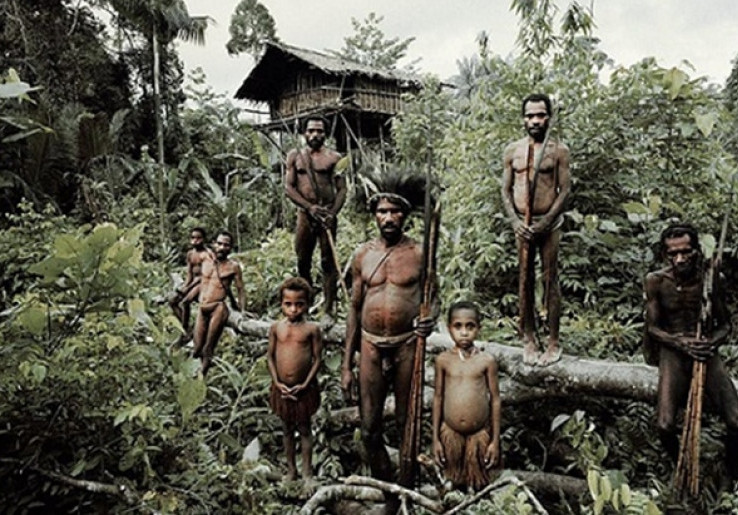 Menengok Kebiasaan Suku Korowai, Manusia Pohon Asal Papua