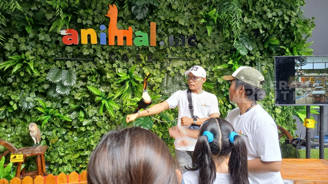 Sensasi 'Kebun Binatang' ala Animal.inc Cafe, Pengunjung Bisa Berinteraksi dengan Satwa Menggemaskan