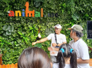 Sensasi 'Kebun Binatang' ala Animal.inc Cafe, Pengunjung Bisa Berinteraksi dengan Satwa Menggemaskan
