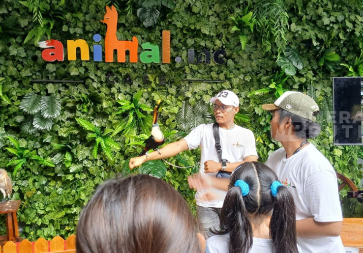 Sensasi 'Kebun Binatang' ala Animal.inc Cafe, Pengunjung Bisa Berinteraksi dengan Satwa Menggemaskan
