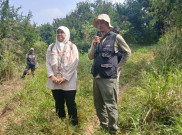GRID Cardio Rush Tanam 1.500 Bibit Pohon di Gunung Gede Pangrango, ini Dampaknya bagi Lingkungan