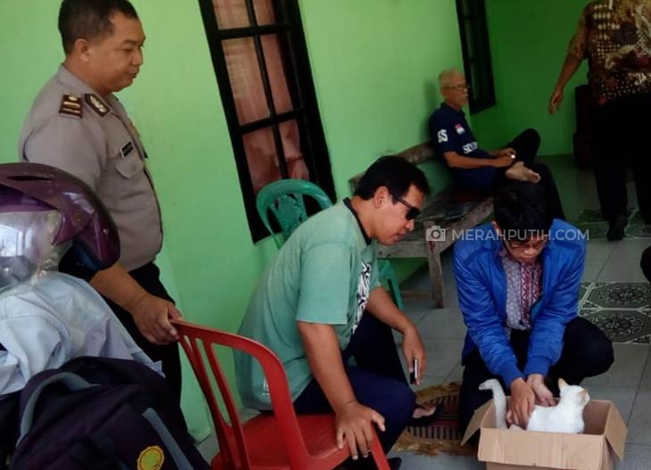 Puluhan Kucing Milik Warga di Karangayar Mati Mendadak, Ada Apa?
