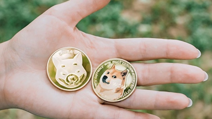 Dogecoin dan Shiba Inu, Cryptocurrency yang Terinspirasi Anjing Shiba