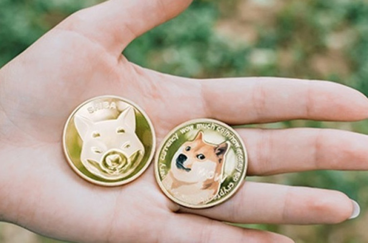 Dogecoin dan Shiba Inu, Cryptocurrency yang Terinspirasi Anjing Shiba