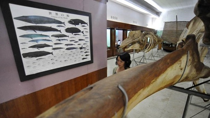 Museum Siwalima Pikat Pengunjung dengan Kreativitas Tradisional