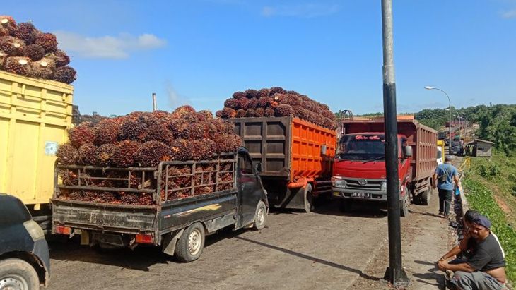 Konflik Timur Tengah Berkepanjangan Ancam Harga Minyak Mentah, Pemerintah Diminta Siapkan Skenario