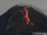 Gunung Merapi Semburkan 6 Kali Guguran Lava dalam Sepekan