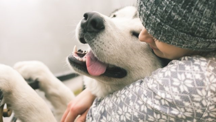 5 Hal Tentang Kehidupan yang Dapat Kamu Pelajari dari Seekor Anjing