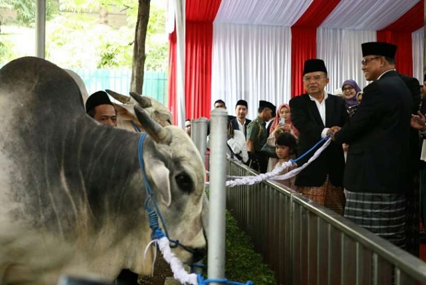 Masjid Istiqlal Sembelih 25 Sapi dan 17 Kambing