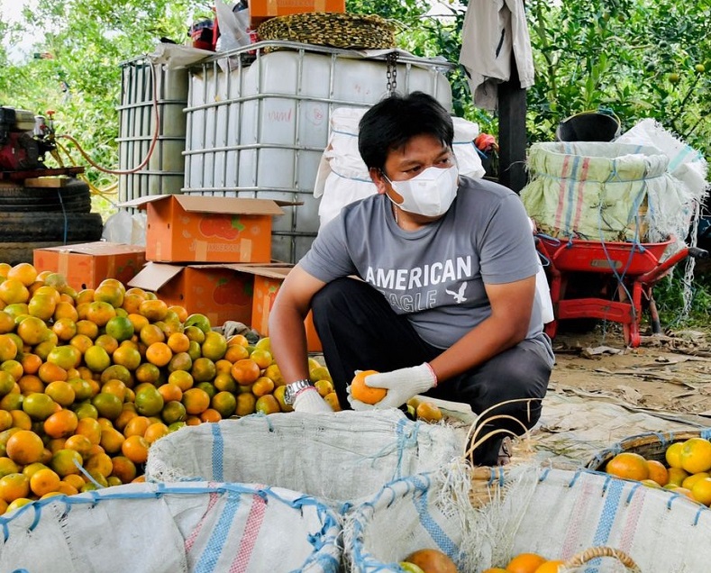 [HOAKS atau FAKTA]:  Saat Perut Kosong Makan Buah Sembuhkan Kanker