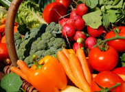 Saran Ahli Gizi Agar Anak Gemar Makan Sayur