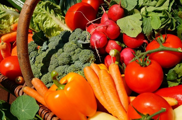 Saran Ahli Gizi Agar Anak Gemar Makan Sayur