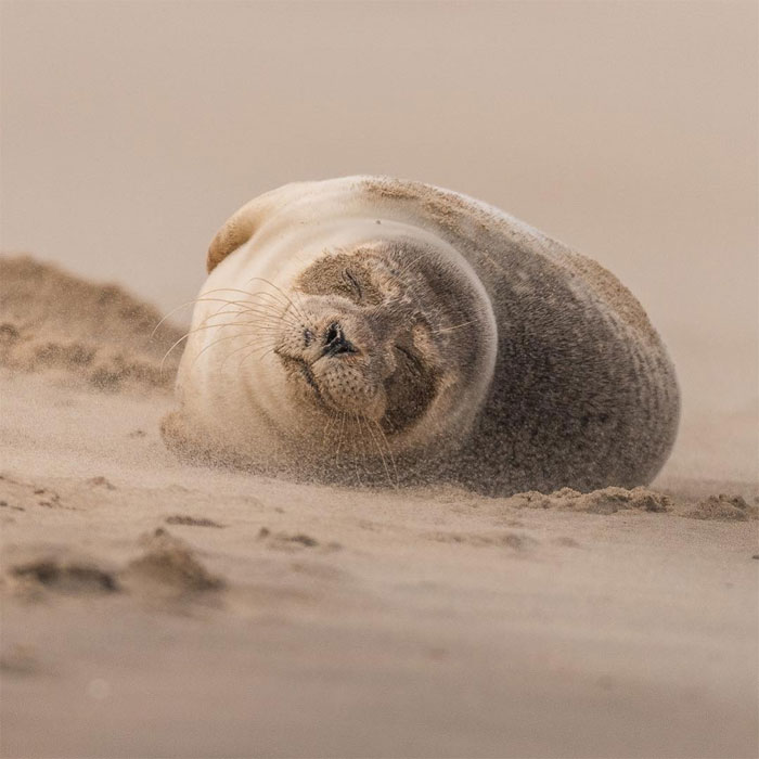 Foto van Duijn
