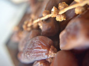 Manfaat Konsumsi Kurma untuk Kesehatan