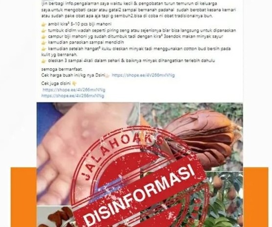 [HOAKS atau FAKTA]: Biji Mahoni Bisa Obati Sakit Cacar