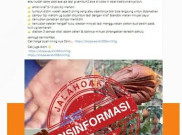 [HOAKS atau FAKTA]: Biji Mahoni Bisa Obati Sakit Cacar