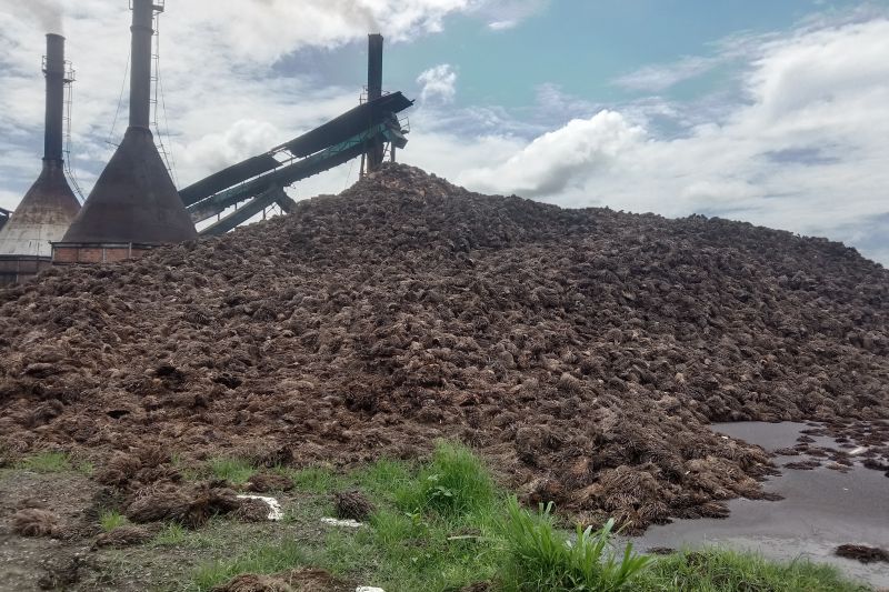 Indonesia Berharap Bursa Berjangka Minyak Sawit Hadir Bulan Ini
