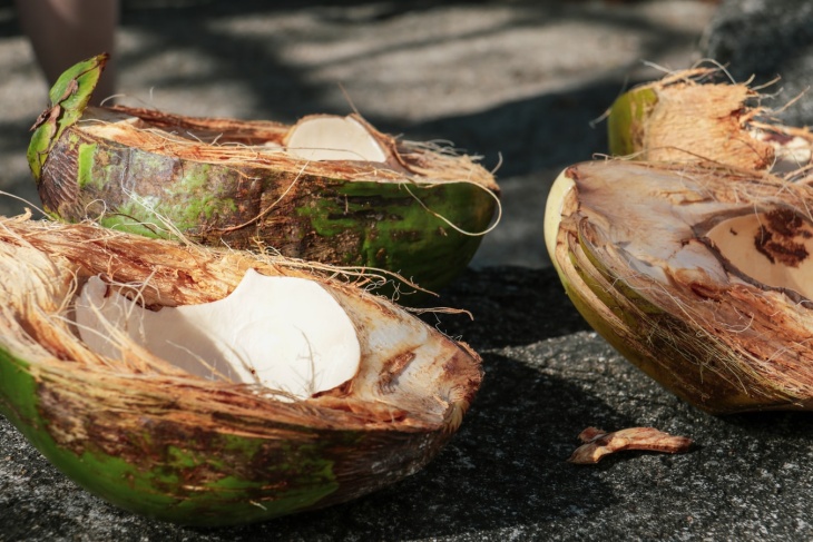 Air kelapa memang bermanfaat untuk kesehatan. (Foto unsplash/jannerboy62)
