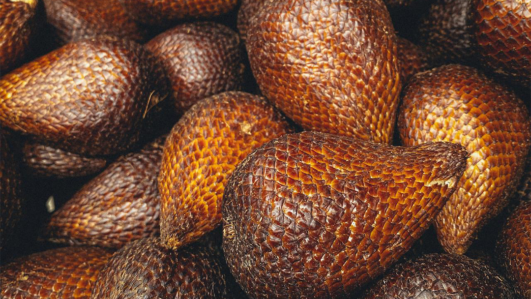 Agroforestri Salak Bali Ditetapkan Jadi Warisan Pertanian Dunia FAO