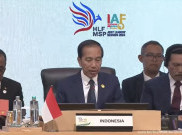 Indonesia dan Negara Afrika Bisa Jalin Kerja Sama Ekonomi hingga Rp 54,3 Triliun