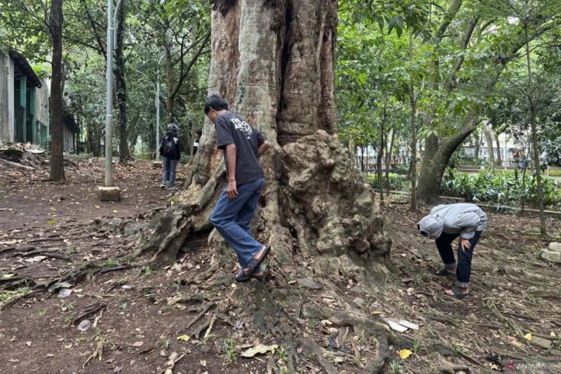 Kemenkomdigi Panggil Pengembang Aplikasi Jagat, Ancam Beri Tindakan Tegas Jika Tidak Ubah Cara Cari Koin