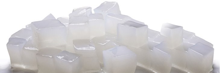 nata de coco