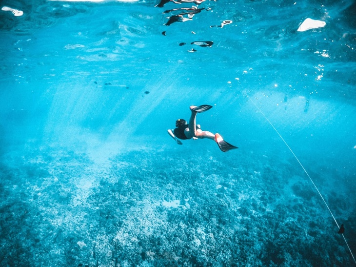Aktivitas yang Digandrungi Agensi Travel