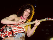 Frankenstrat, Gitar Monster Hasil Ketidakpuasan