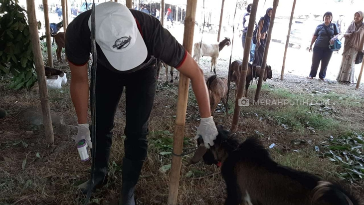Pemkot Yogyakarta Sarankan Pemotongan Hewan Kurban di RPH