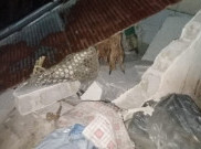 34 Rumah Warga Karangasem Rusak akibat Gempa M 5,2