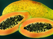 3 Cara Alami Tangkal Jerawat dengan Buah Pepaya