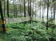 10 Rekomendasi Tempat Wisata Purwokerto Terbaik 2025, Harga Terjangkau!