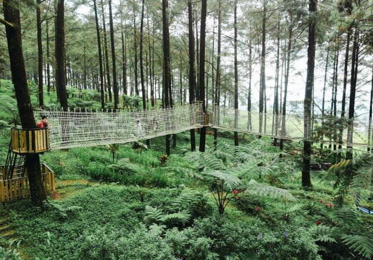 10 Rekomendasi Tempat Wisata Purwokerto Terbaik 2025, Harga Terjangkau!