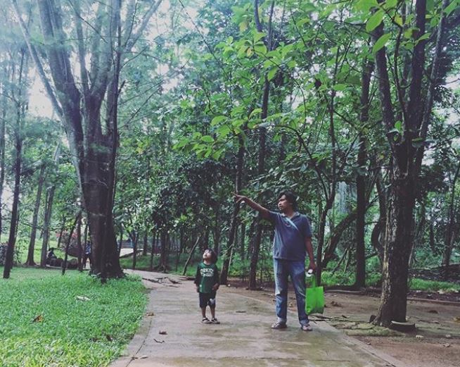 Hutan Kota BSD (Instagram/asteriaraissya)