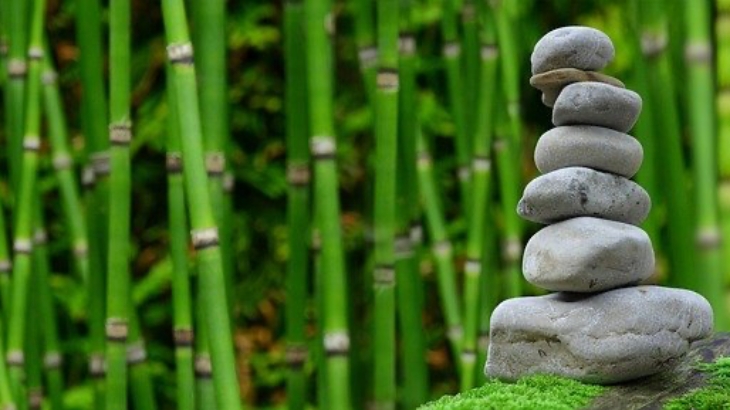 Menurut Feng Shui, Beberapa Tanaman Mungkin Membawa Sial