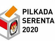  Bisa Telan Banyak Korban Jika Pilkada Serentak Tetap Diadakan 2020