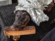 Kuliner Ekstrem Daging Buaya Berbagai Negara, Salah Satunya dari Indonesia