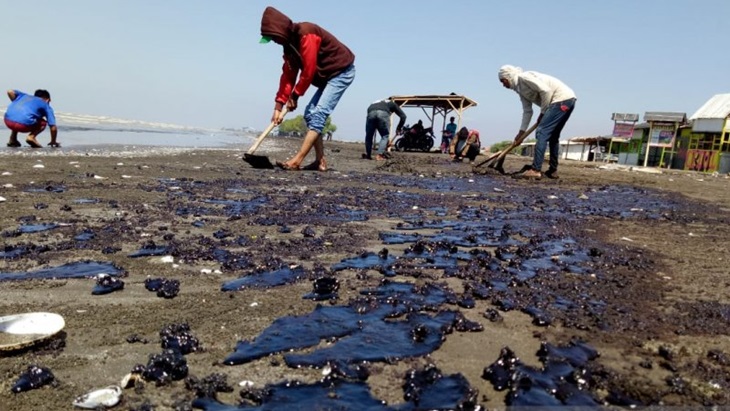 Pengumpulan limbah minyak di Pulau Jakarta. (Antaranews)