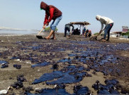 Anies Sebut Ikan Nelayan Pulau Seribu Mati Terdampak Tumpahan Minyak Pertamina