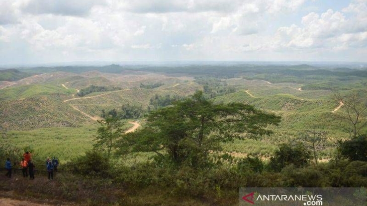 Legislator PAN Tegaskan Kepala Otorita IKN Tidak Boleh Rangkap Jabatan
