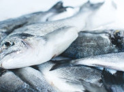 Lezat dan Bernutrisi, 3 Pilihan Ikan yang Pas untuk Dibakar
