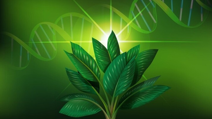 Meningkatkan Kesadaran tentang Tes DNA